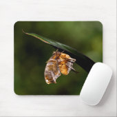 Tapis De Souris Papillon de point d'interrogation (Avec souris)