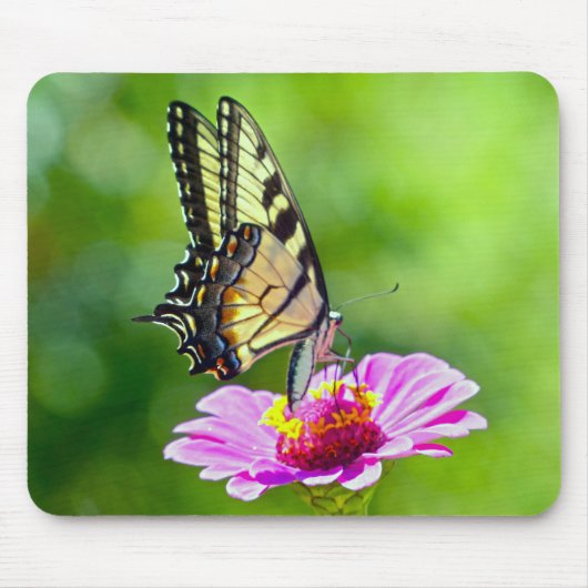 Tapis De Souris Papillon de queue de tigre (Devant)