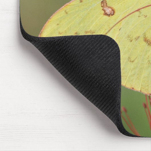 Tapis De Souris Papillon de soufre sans nuages (Coin)