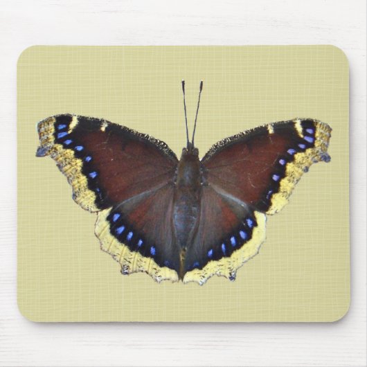 Tapis De Souris Papillon en deuil - Nymphalis antiopa (Devant)