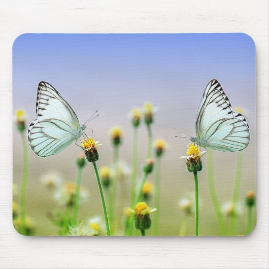 Tapis De Souris papillon, fleur, pollinisation (Devant)