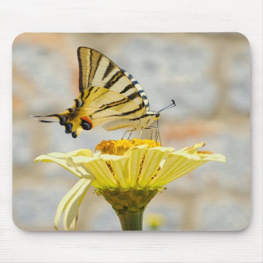 Tapis De Souris papillon, fleurs, nature (Devant)