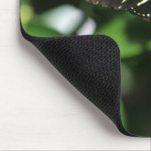 Tapis De Souris Papillon Heliconius charithonia (Coin)