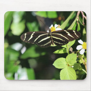 Tapis De Souris Papillon Heliconius charithonia