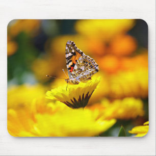 Tapis De Souris papillon, insecte, jardin