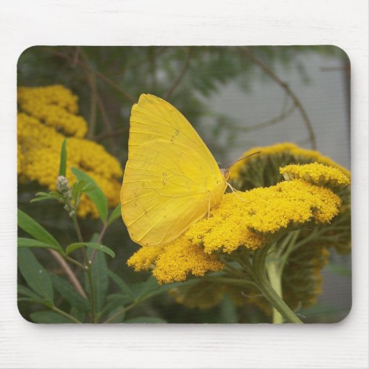 Tapis De Souris Papillon jaune Mousepad (Devant)
