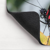 Tapis De Souris Papillon long dorsal (Coin)