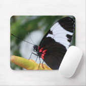 Tapis De Souris Papillon long dorsal (Avec souris)
