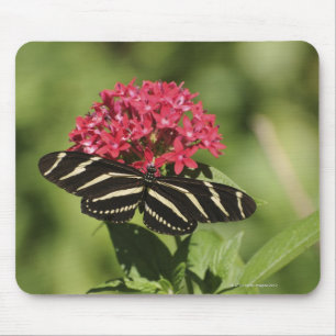 Tapis De Souris Papillon longwing de zèbre, Heliconius