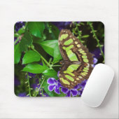 Tapis De Souris Papillon malachite sur fleur violette (Avec souris)