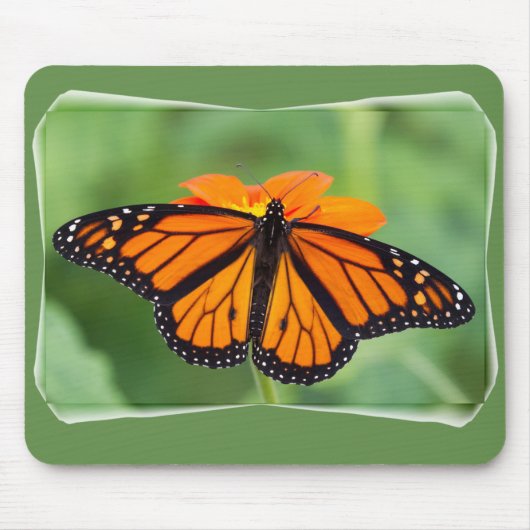 Tapis De Souris Papillon monarque (Devant)