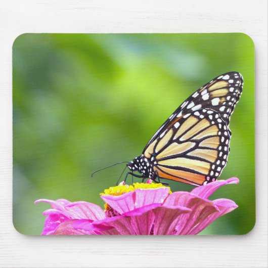 Tapis De Souris Papillon monarque (Devant)