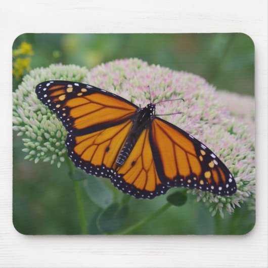 Tapis de souris Papillon Monarque (Devant)