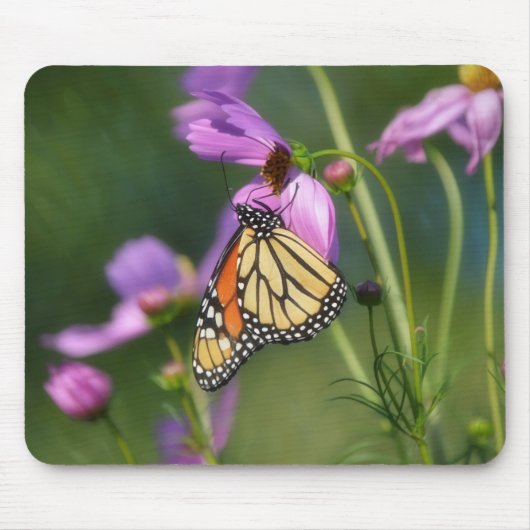 Tapis de souris Papillon Monarque sur fleurs roses (Devant)
