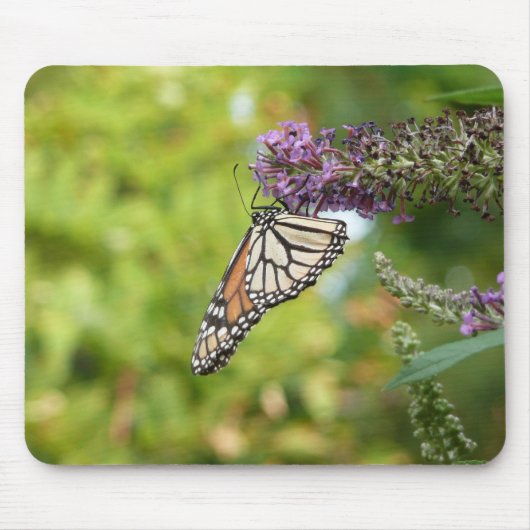 Tapis De Souris Papillon Monarque sur papillon pourpre Bush (Devant)