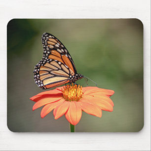 Tapis De Souris Papillon Monarque sur une fleur d'orange