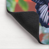 Tapis De Souris Papillon mormon écarlate (Coin)