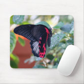 Tapis De Souris Papillon mormon écarlate (Avec souris)