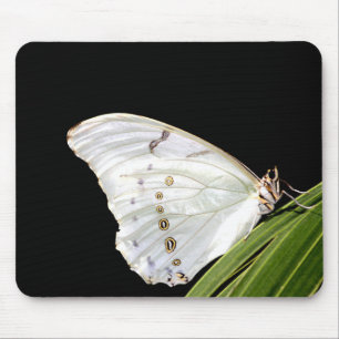 Tapis De Souris Papillon Morpho blanc sur feuille