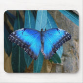 Tapis De Souris Papillon Morpho Commun Bleu (Devant)