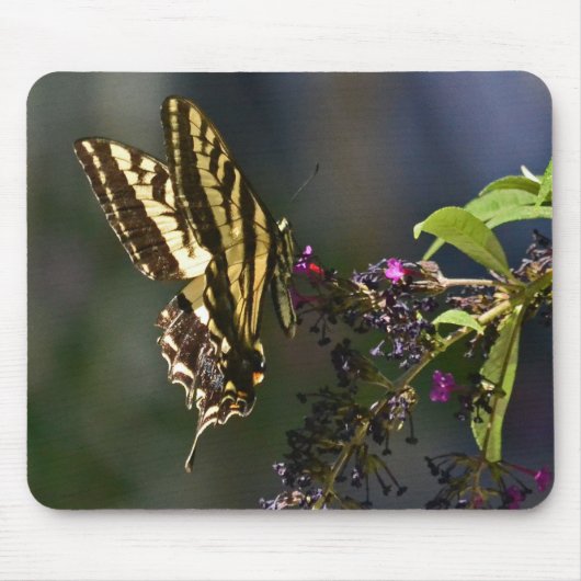 Tapis De Souris Papillon mousepad (Devant)