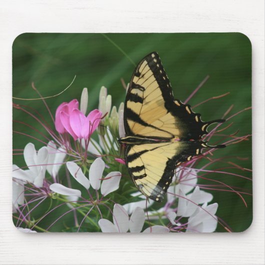 Tapis De Souris Papillon Mousepad (Devant)
