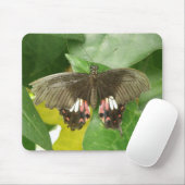 Tapis De Souris Papillon mousepad à queue épaisse (Avec souris)