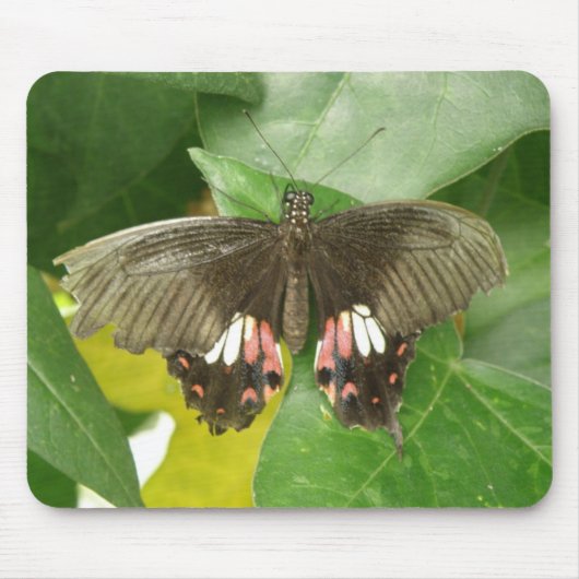 Tapis De Souris Papillon mousepad à queue épaisse (Devant)