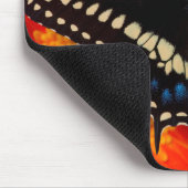 Tapis De Souris Papillon noir à queue fourchue sur une marguerite (Coin)