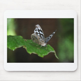 Tapis De Souris Papillon noir et blanc