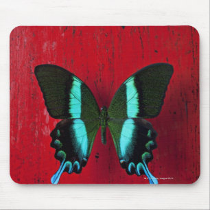 Tapis De Souris Papillon noir et bleu sur le mur rouge