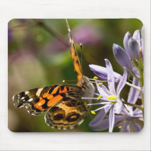 Tapis De Souris Papillon orange sur vêtements et cadeaux de jacint