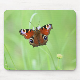 Tapis De Souris Papillon paon