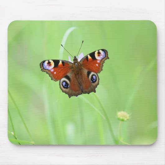 Tapis De Souris Papillon paon (Devant)