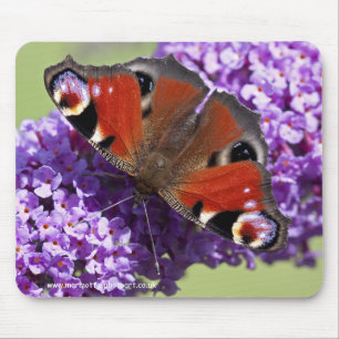 Tapis de souris Papillon Paon