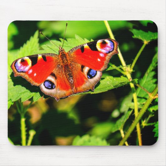 Tapis De Souris Papillon paon, papillon, feuille (Devant)