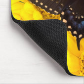 Tapis De Souris Papillon Papilio polyxenes (Coin)