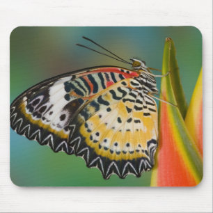 Tapis De Souris Papillon sur fleur tropicale