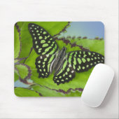 Tapis De Souris Papillon sur fond vert (Avec souris)
