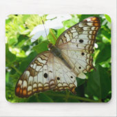 Tapis De Souris Papillon sur Jasmine Tropical Nature Photographie (Devant)