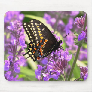 Tapis De Souris Papillon - Swallowtail américain sur fleur de Kit 