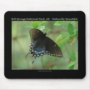 Tapis De Souris Papillon swallowtail du Parc national de Hot Sprin