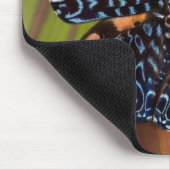 Tapis De Souris Papillon Tropical (Coin)