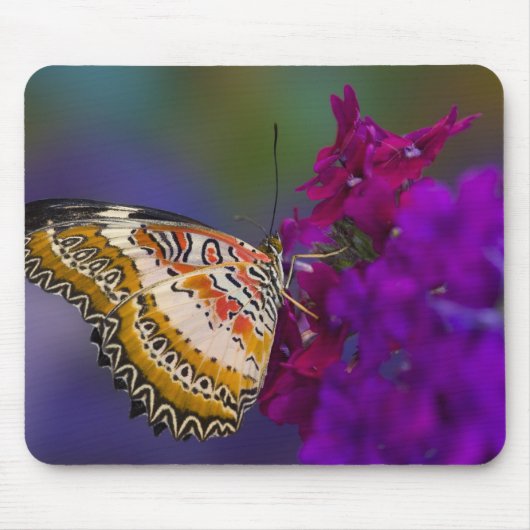 Tapis De Souris Papillon tropical aux fleurs violettes (Devant)