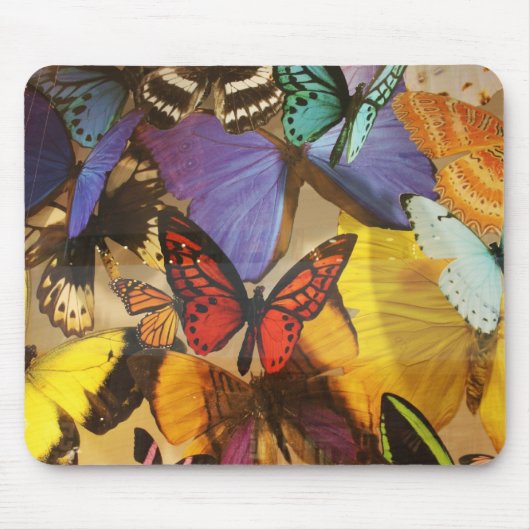 Tapis De Souris papillon tropical violet bordeaux orange (Devant)