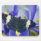 Tapis De Souris Papillon tropical violet iris (Devant)
