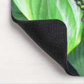 Tapis De Souris Papillon vert (Coin)