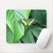 Tapis De Souris Papillon vert (Avec souris)