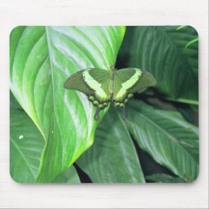 Tapis De Souris Papillon vert