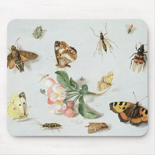 Tapis De Souris Papillons, mites et d'autres insectes (Devant)